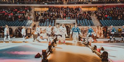 Die Spieler der beider Mannschaften laufen auf vor dem Spiel zwischen den Schwenninger Wild Wings gegen die Adler Mannheim beim 3. DEL Wintergame am 07.01.2017 in Sinsheim, Deutschland. (Foto von City-Press GbR)